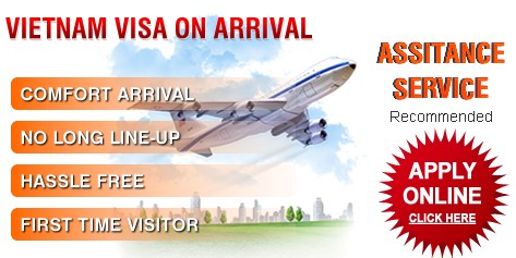 Exploring the Ins and Outs of Vietnam Immigration Department Visa Options